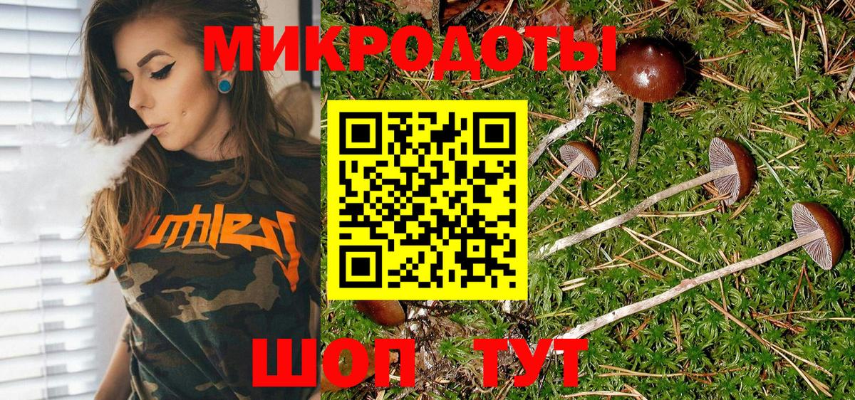 Касимов  Галлюциногенные грибы Psilocybine cubensis  Вход с VPN 